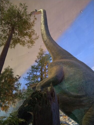めちゃめちゃ大きな恐竜