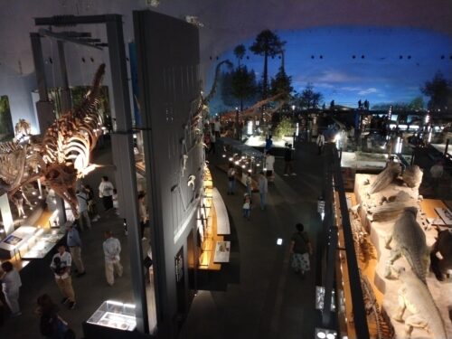 恐竜博物館の館内