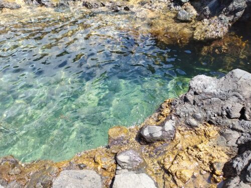 透き通る海には小魚が見られる