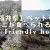 福井県のペットと泊まれてカニが食べられる 宿4選