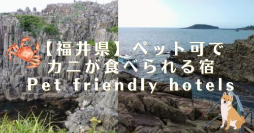 福井県のペットと泊まれてカニが食べられる 宿4選